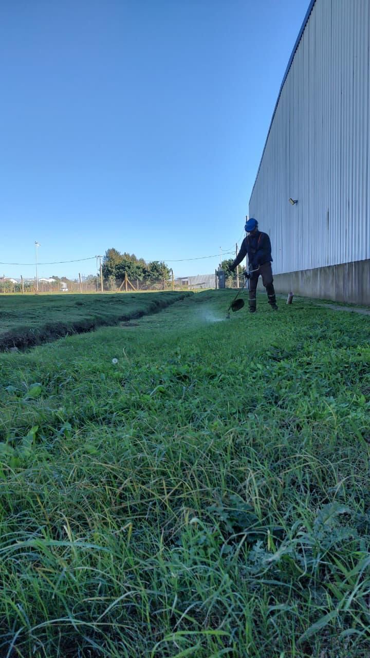 Bordeado de césped junto a una nave industrial