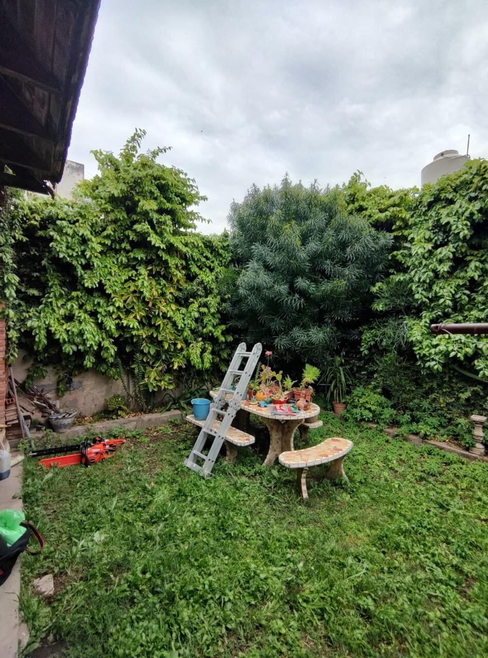 Jardín con enredaderas y plantas crecidas