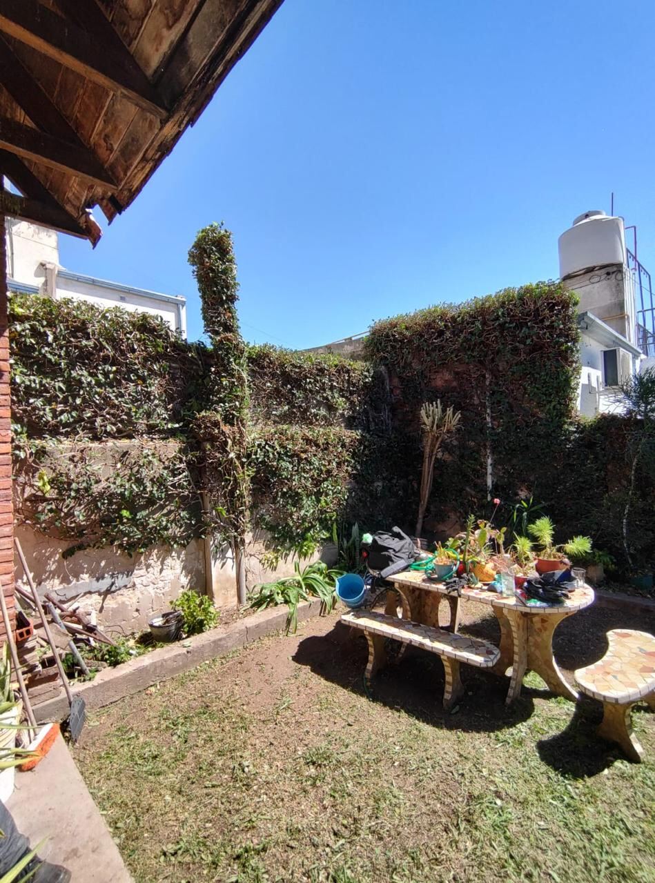 El mismo jardín con enredaderas recortadas y césped cortado