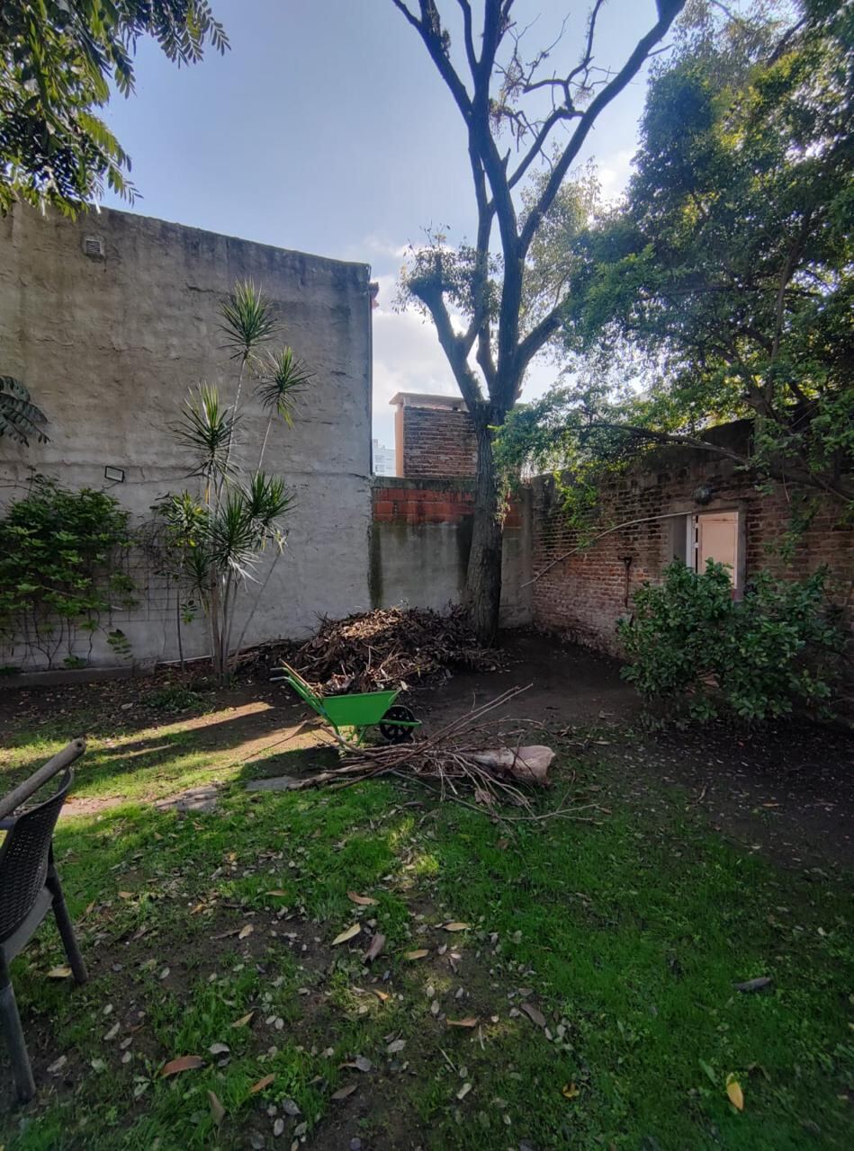 Patio con ramas y restos de poda acumulados