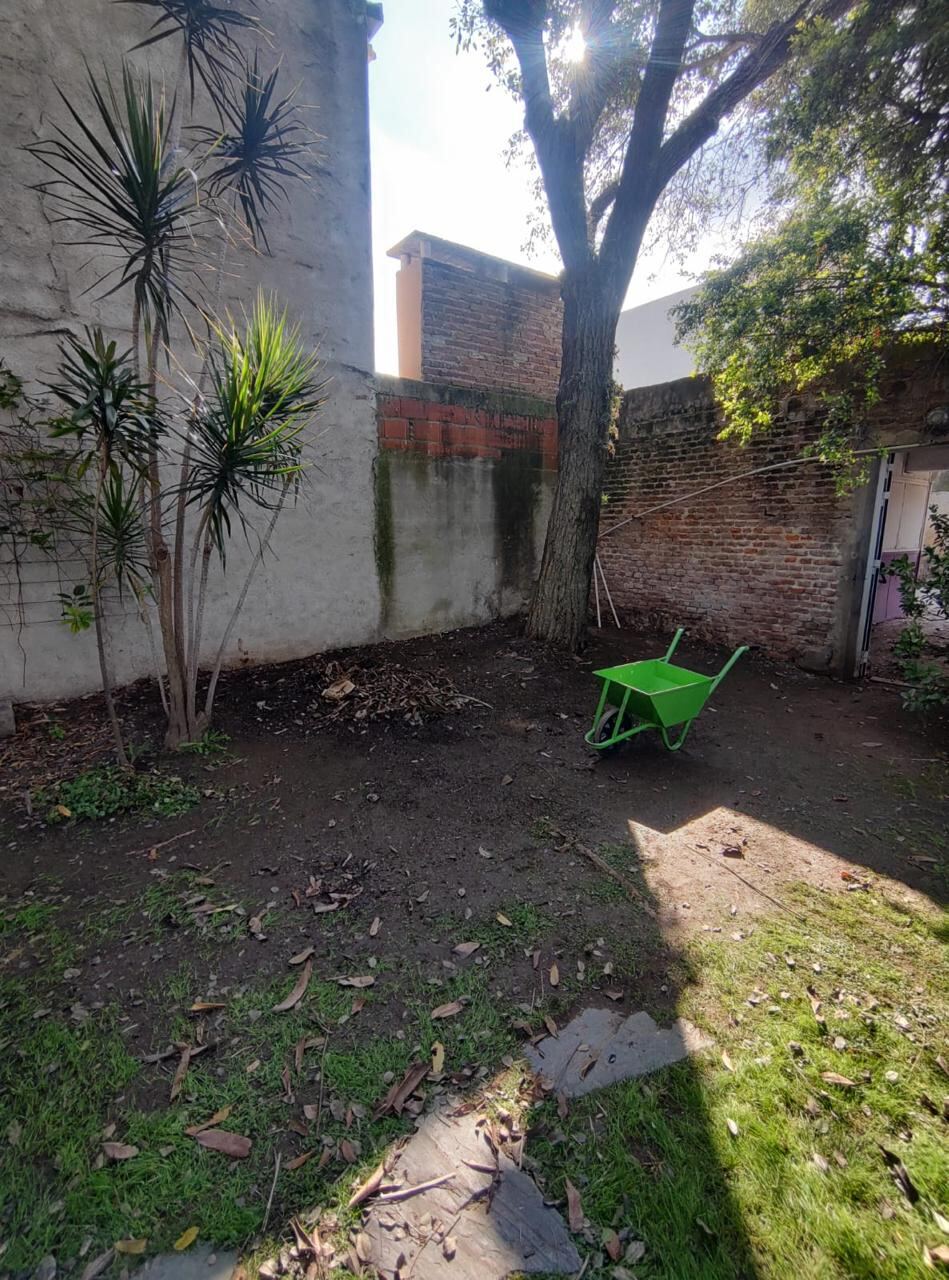 El mismo patio limpio y despejado